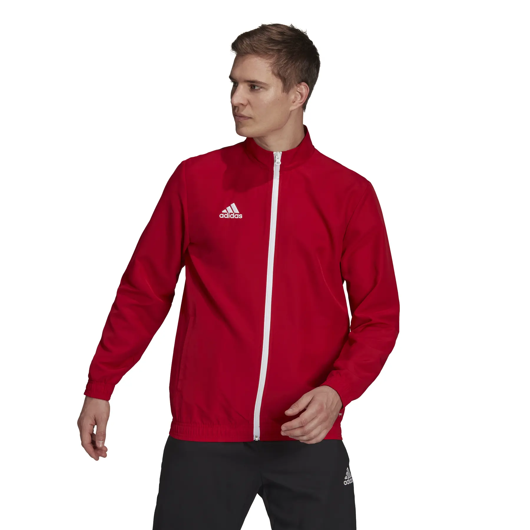 adidas Entrada 22 Track jacket | Foot-Store
